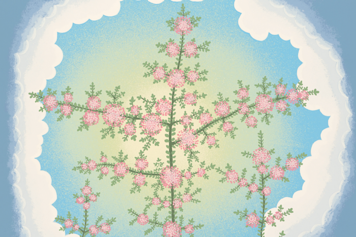 Outsiders: Skupina x mappa