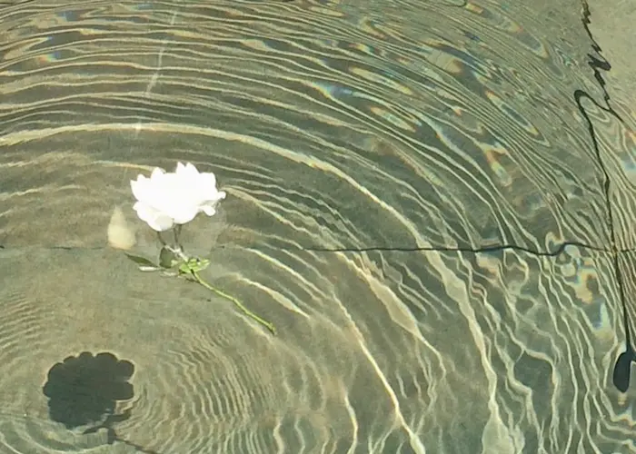 Outsiders: Siren Calls - Summon your inner healer through sound w/ NiXiE