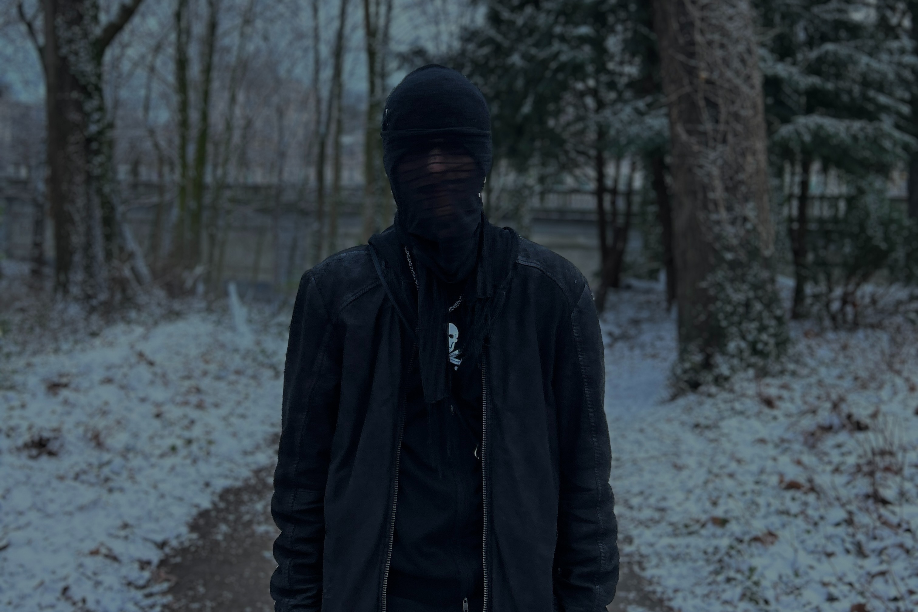 distorted diary w/ untitled_i