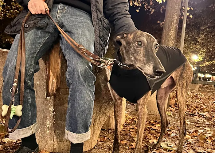 Le Pacifique Records - Open Forum w/ Aidons Antoine