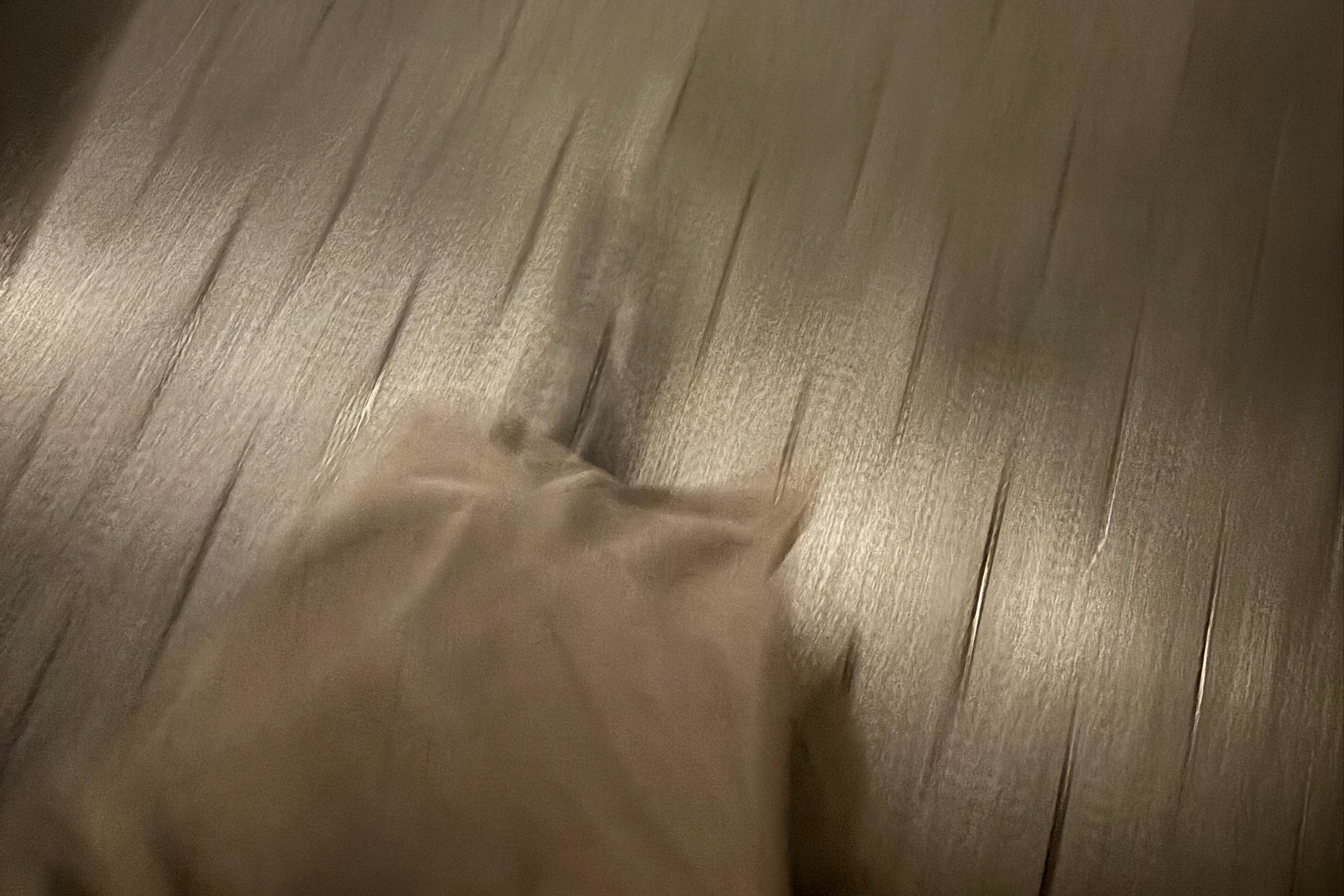 Outsiders: The Morning Consort w/ Ijf Boullet