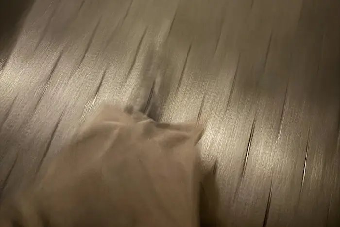 Outsiders: The Morning Consort w/ Ijf Boullet