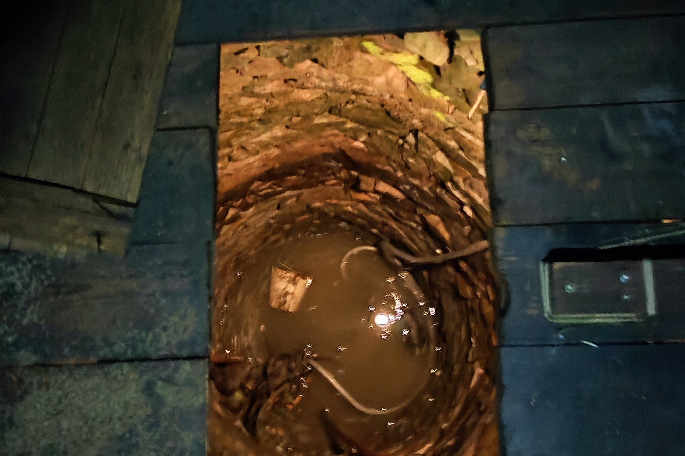 Outsiders: holding hands w/ Lloydfears