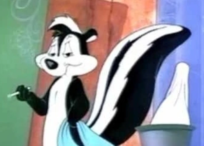 Outsiders: Musique Pour La Danse - Skunk Dub Special