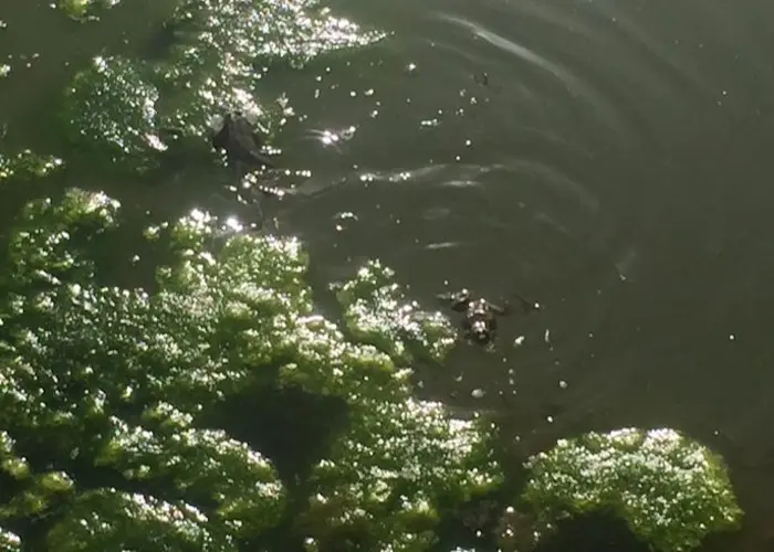 Outsiders: kinetic w/ Dj wiggles & Cersy