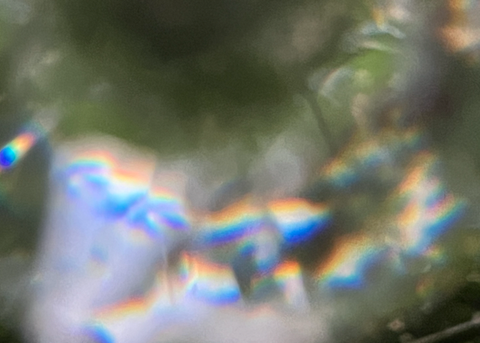 Outsiders: traumgarten w/ Vox Supreme