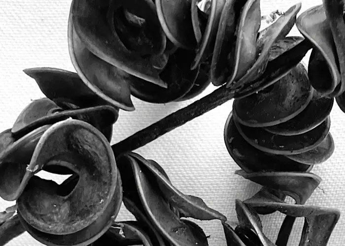 Outsiders: Bureau B w/ Stefan Schneider