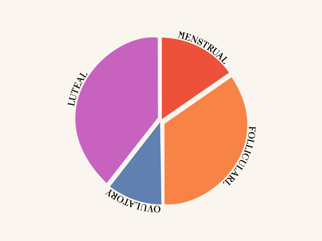 Pie chart of the luteal, menstrual, follicular, and ovulatory phases of the menstrual cycle