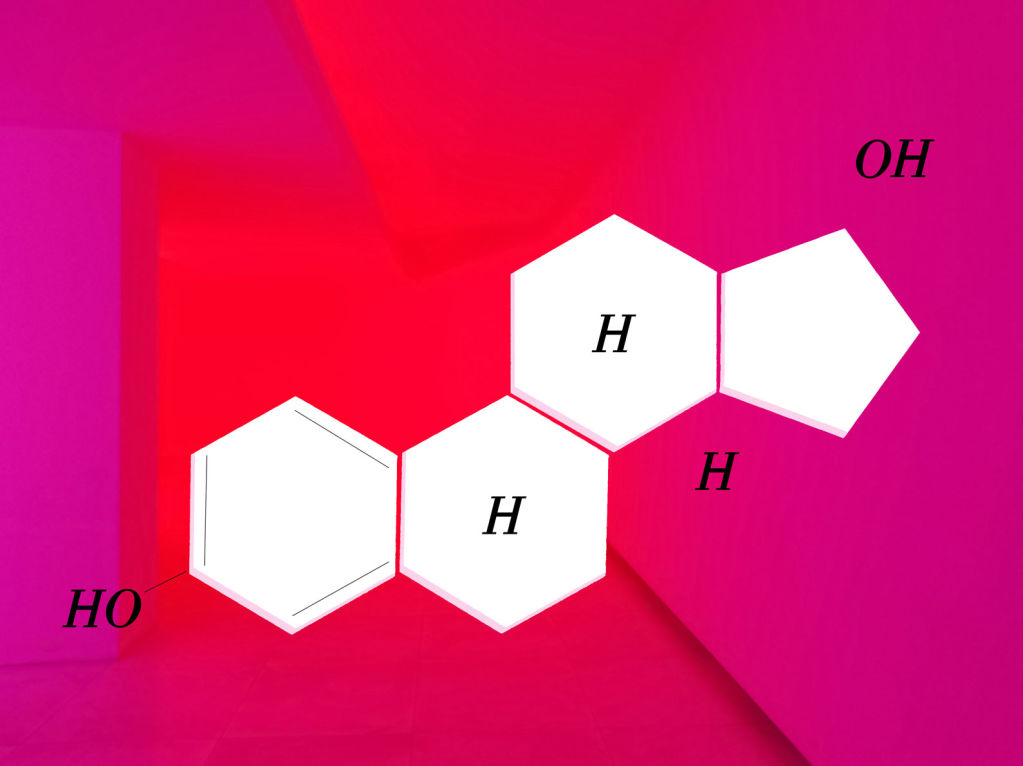 Estrogen Lifecycle