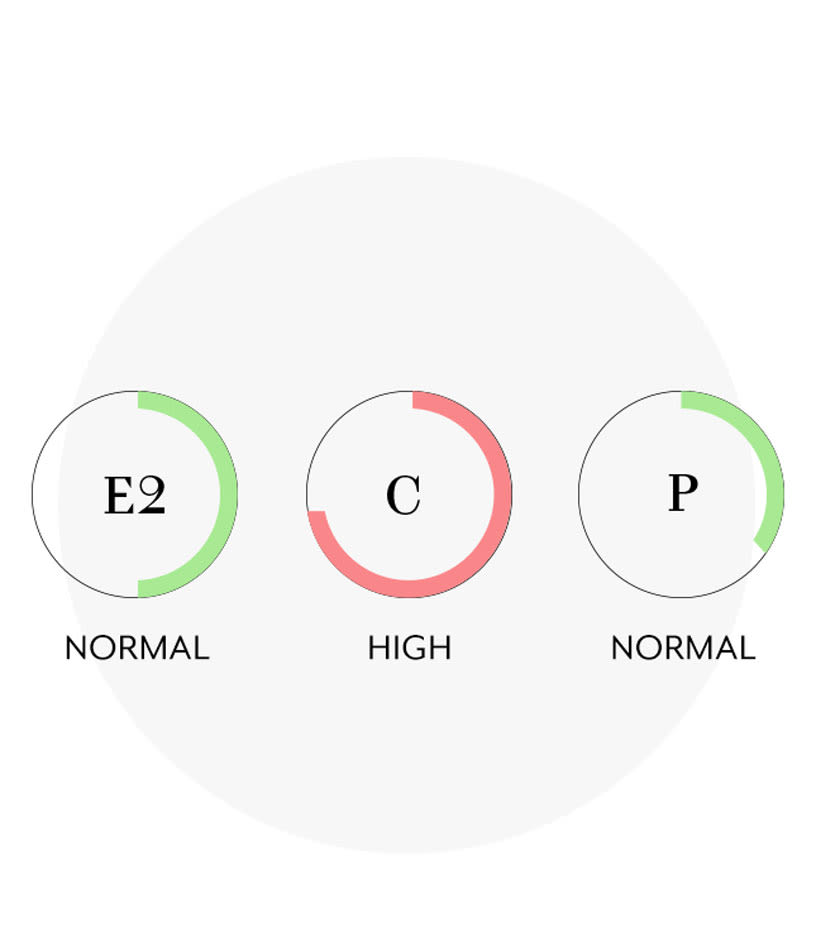 Circle graphics showing biofactor levels