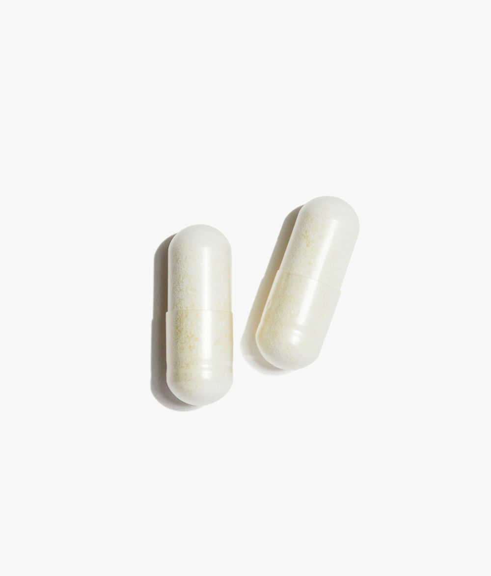 Supplements BioEvolve Probiotic Capsules