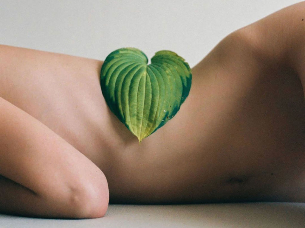 Woman's nude torso with a green leaf balanced at the waist