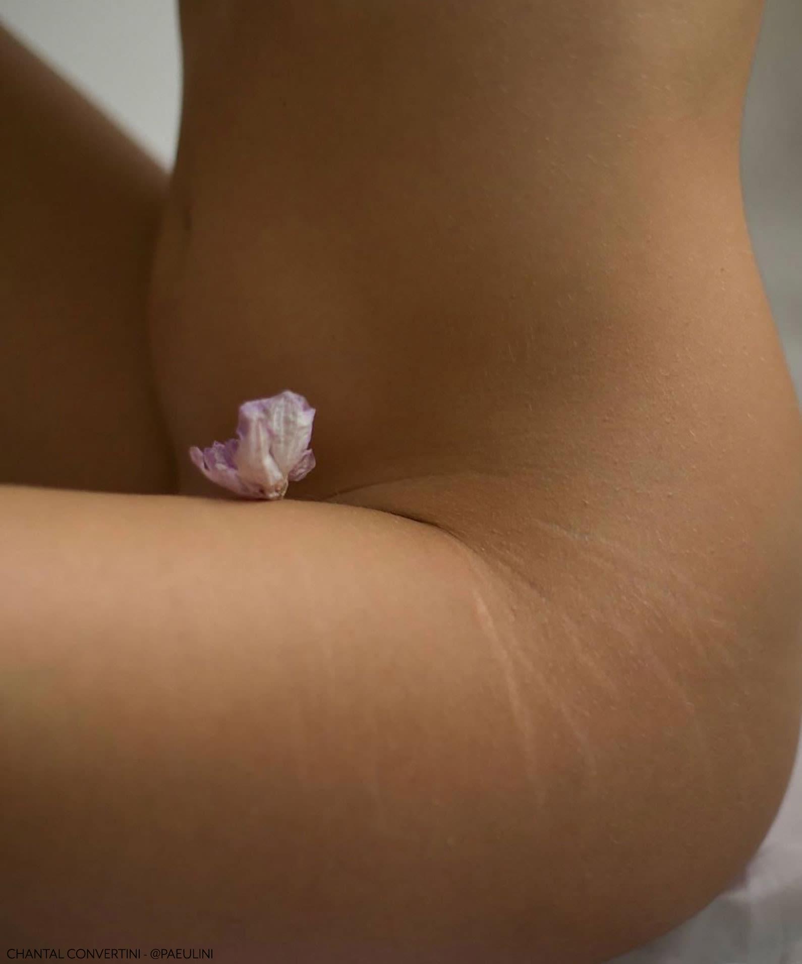 Woman's nude belly and hips with pink flower
