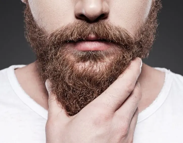 La Biblia del cuidado de la barba