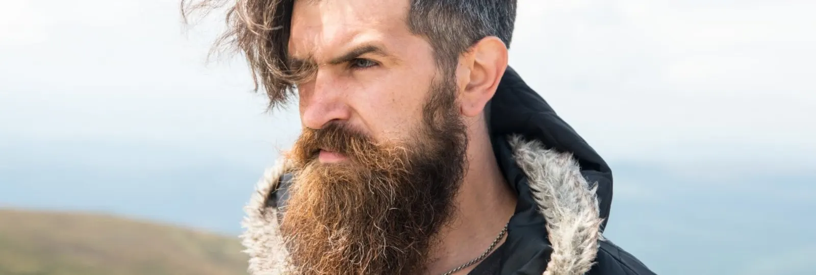 Cómo hacer crecer una barba vikinga