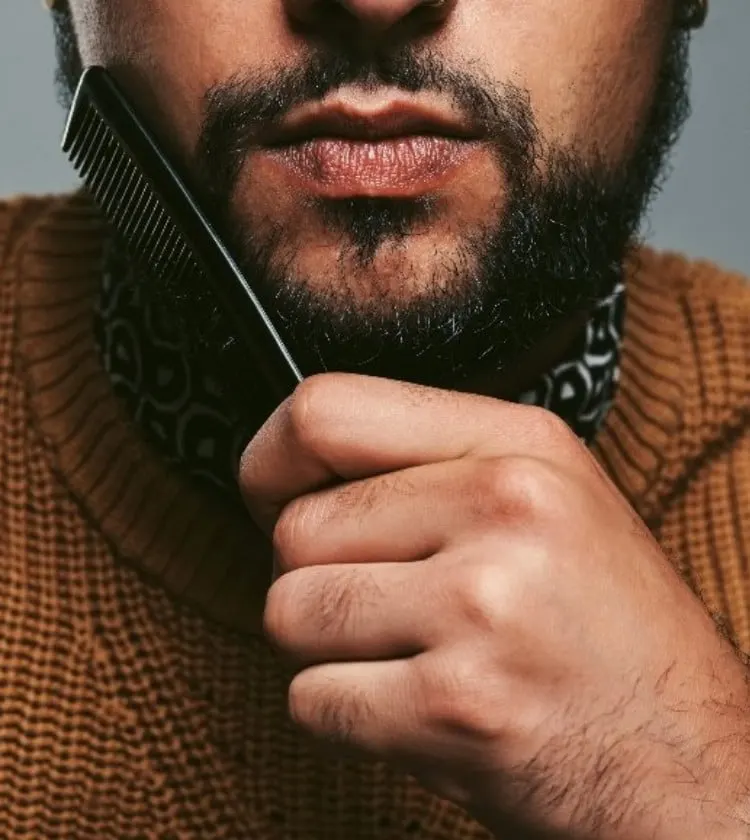 Peine vs. cepillo para la barba: ¿cuál es la diferencia? 