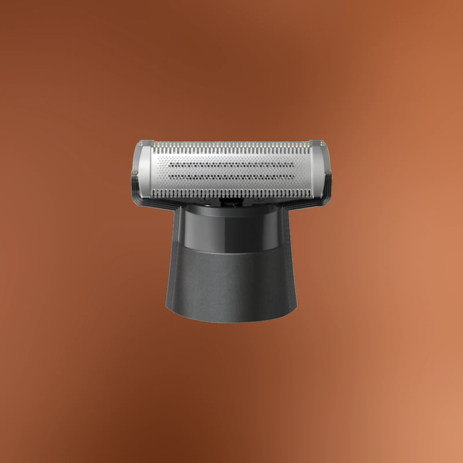 Gillette herrrakset