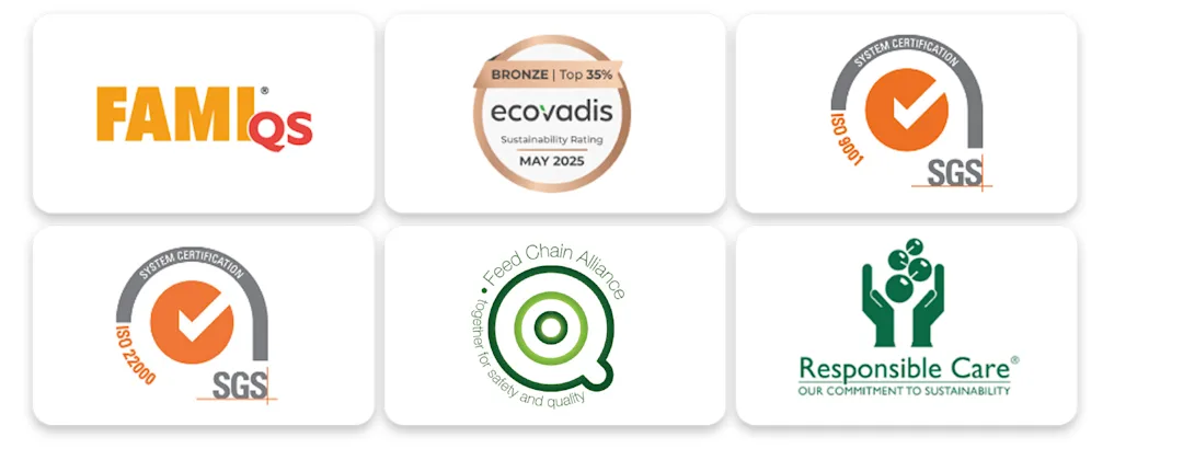 Benelux 6 Member logos Benelux 6 Member logos