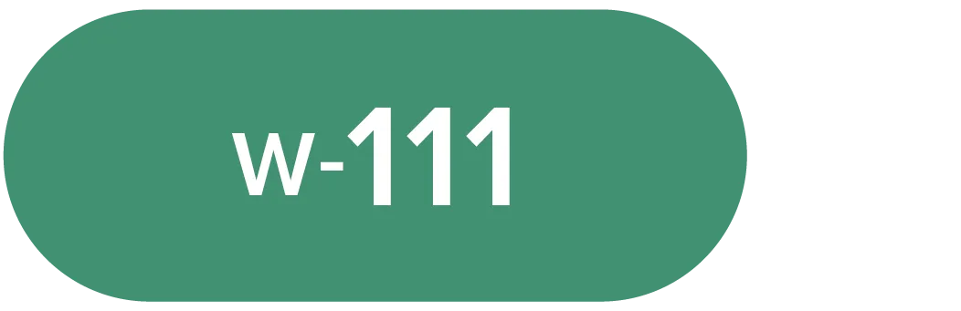 W-111 W-111