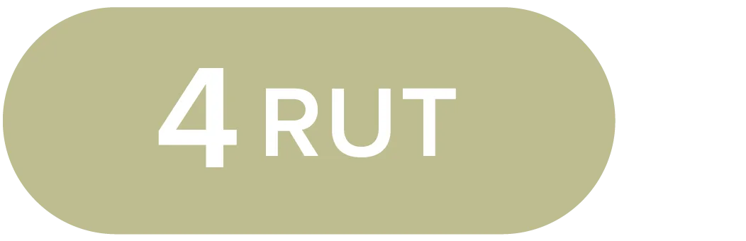 Asphalt logo 4RUT Asphalt logo 4RUT