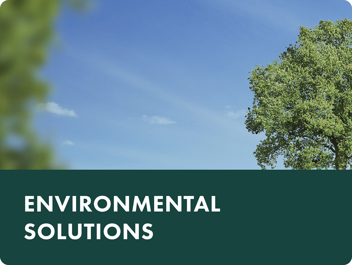 Vidara Mercados Asfalto sub5