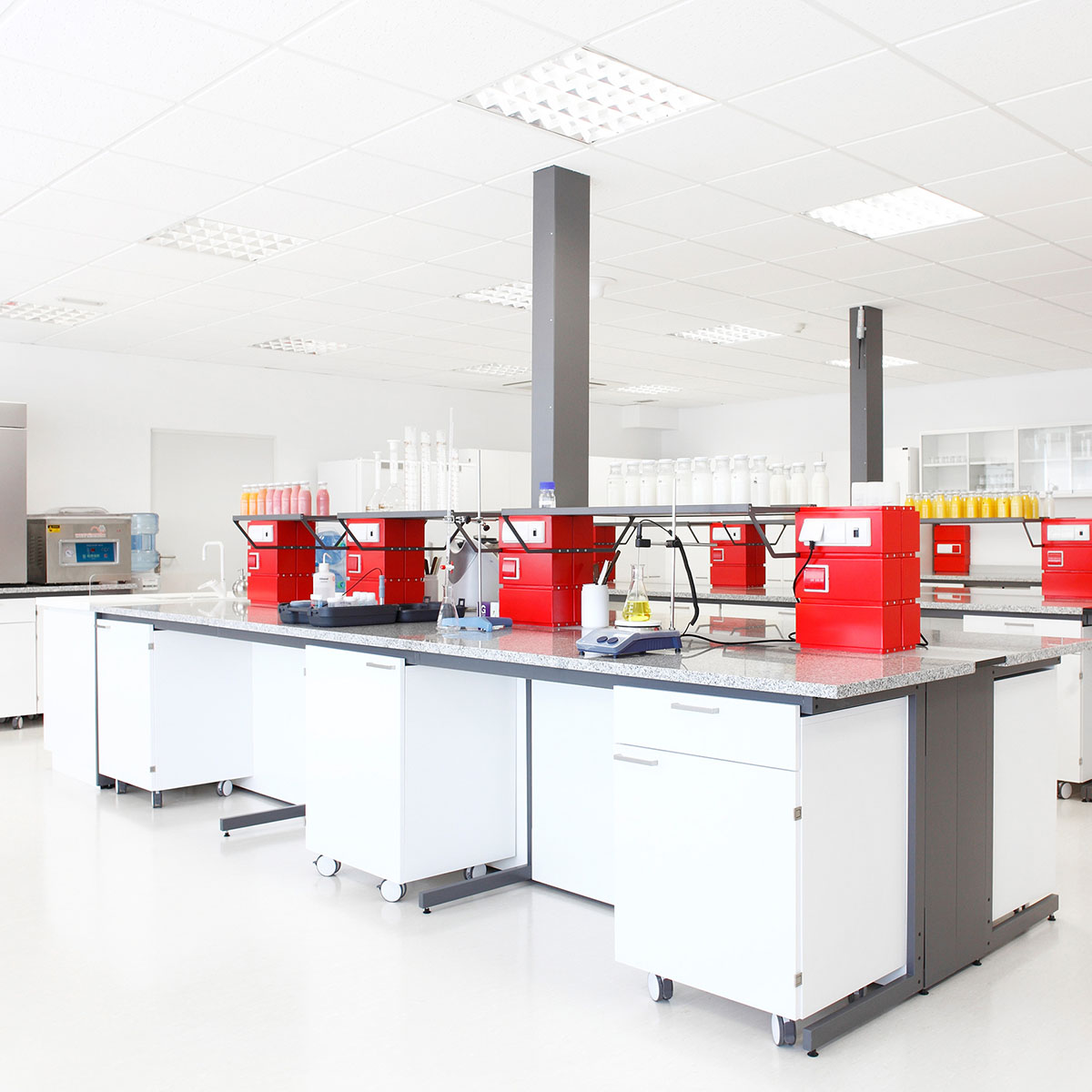 WHY vidara 002 food lab