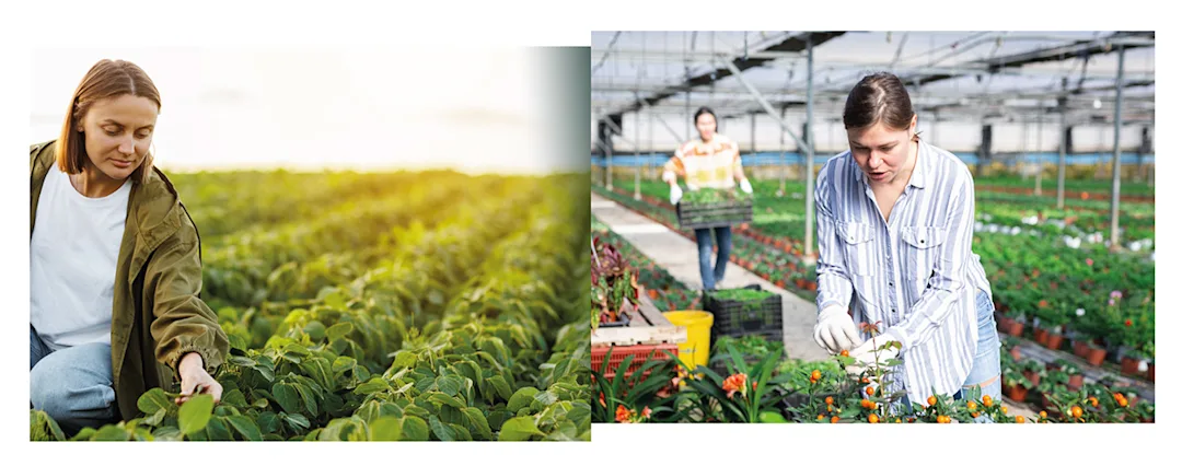 Material Science SUB Photo Agro Material Science SUB Photo Agro