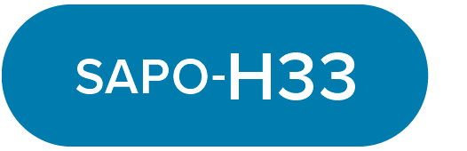 Asphalt Name logo SAPO-H33