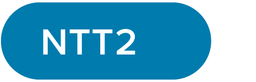 Asphalt Name logo NTT2