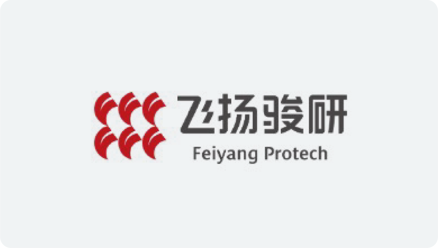 Feiyang Protech