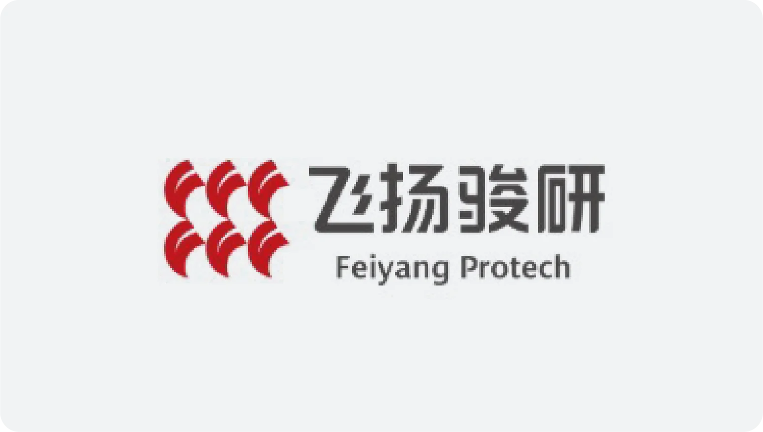 Feiyang Protech Feiyang Protech