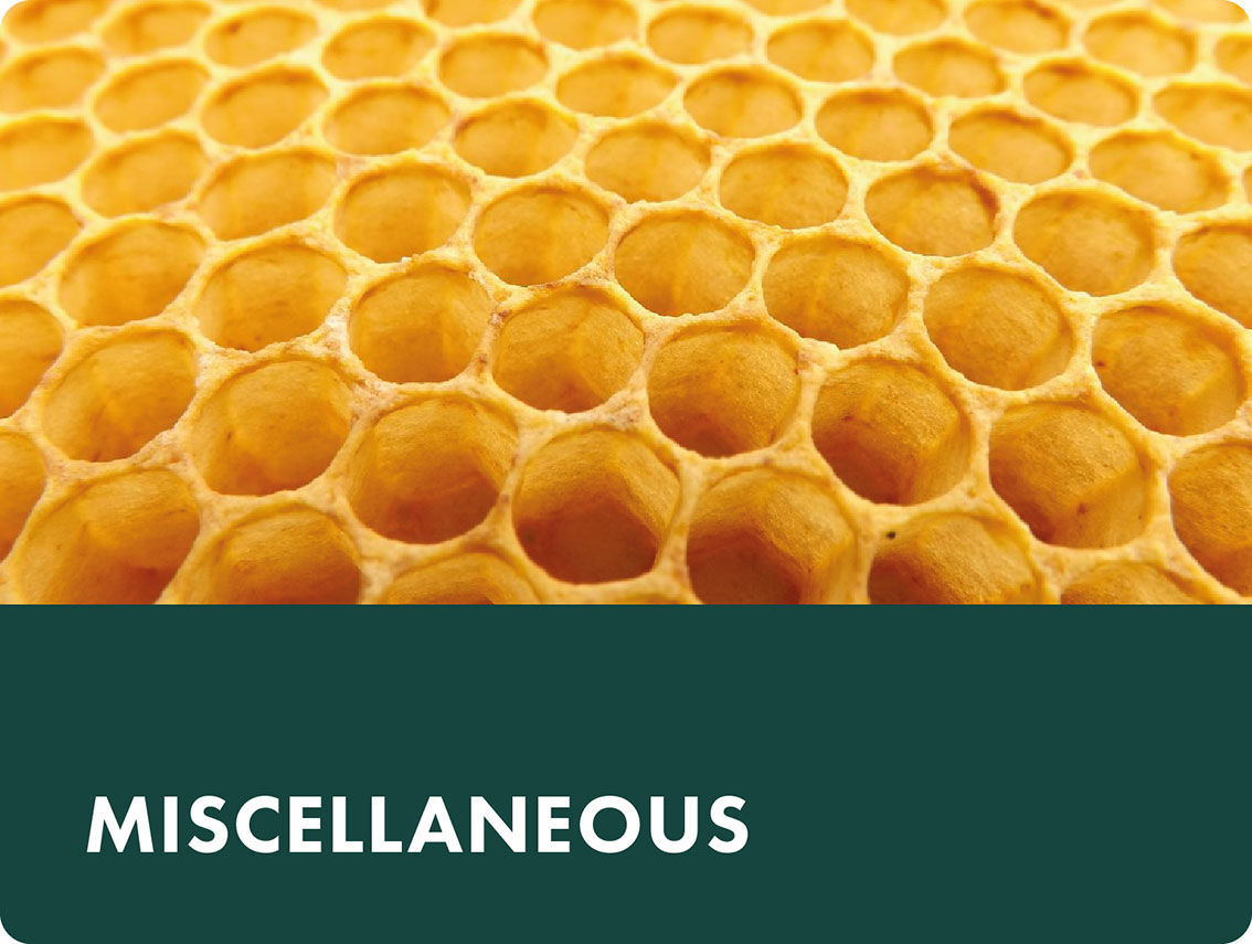 Vidara Mercados Asfalto sub6