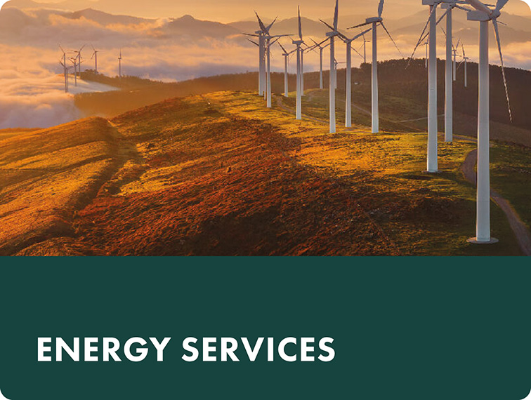 Vidara Markets MS sub3