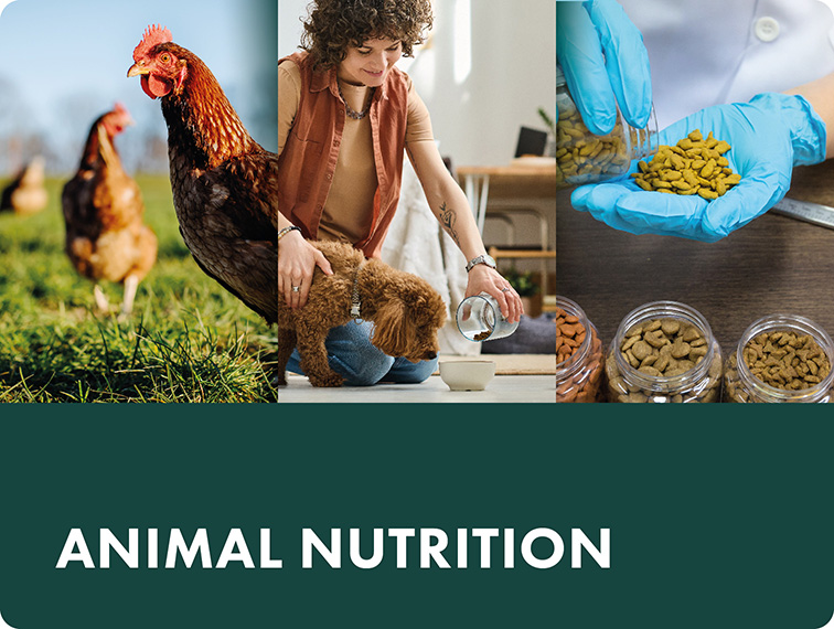 Vidara Markets Tile Animal-nutrition 2