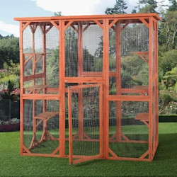 Diy Projects To Keep Your Cat Active Nulo Pet Food Consider A Catio Keeping An Indoor Cat Active Can Be Challenge Especially If You Live In Apartment Or Outdoor Playpen