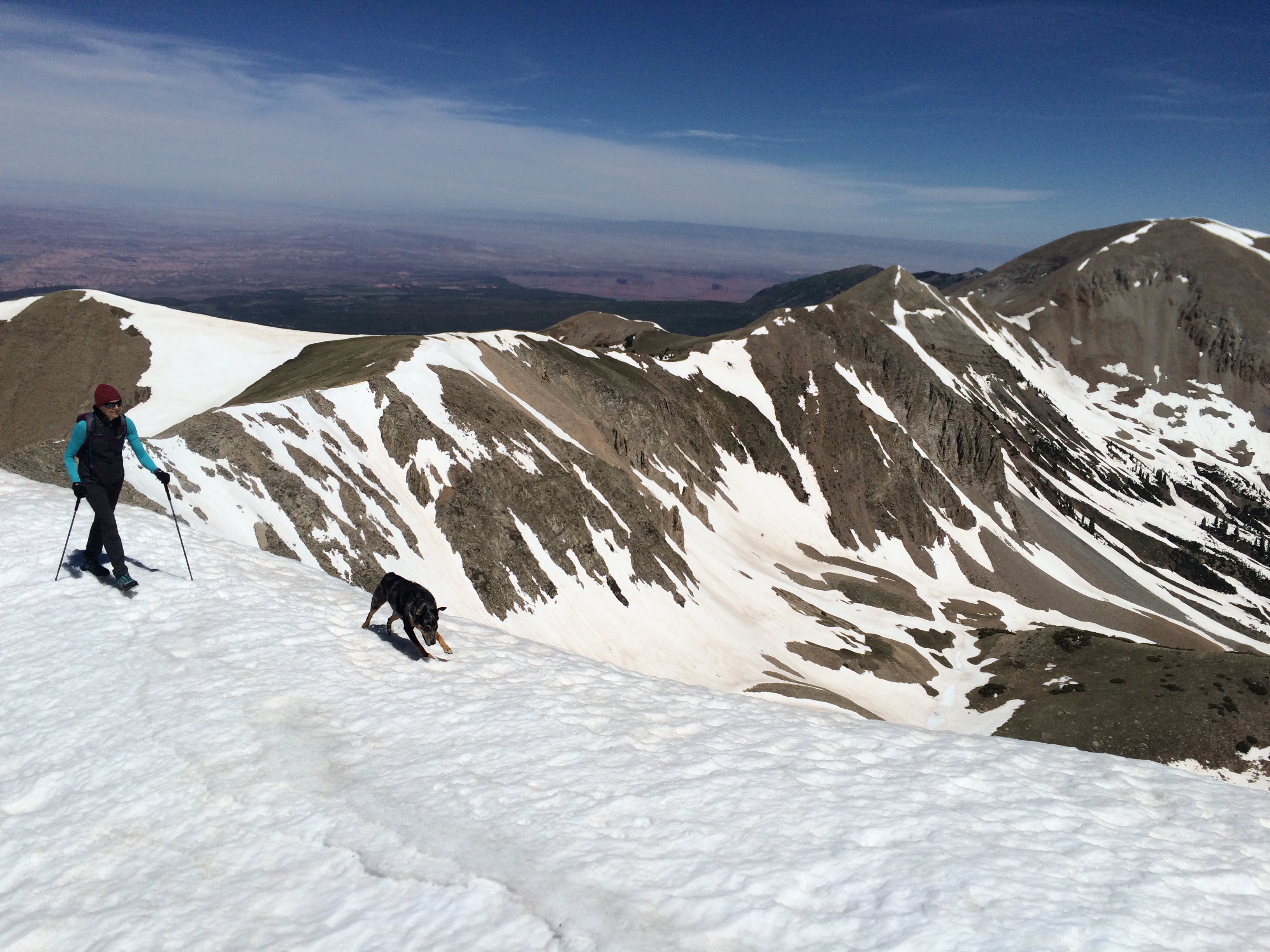 Image of woman snowshoeing with dog on snowy mountain.