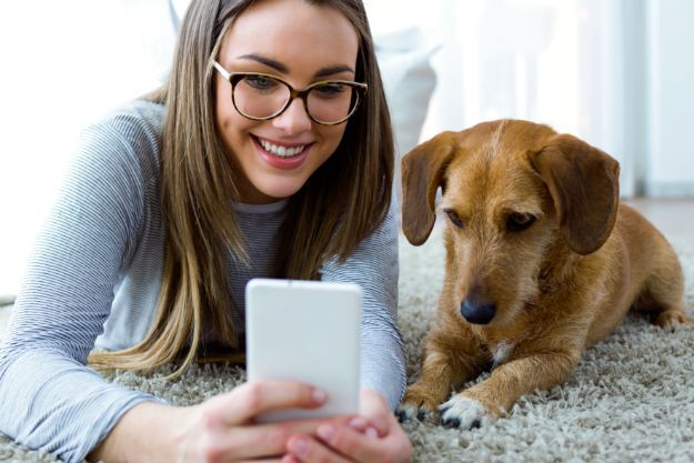 woman and dog looking at mobile phone