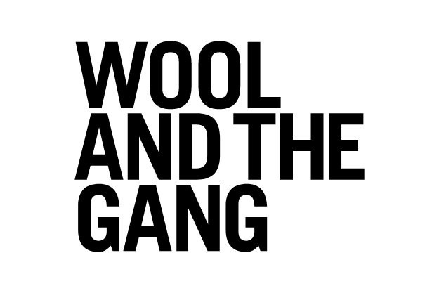 Logo: Wool and the Gang