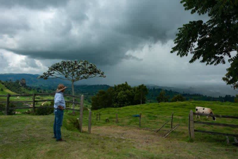A man wearing a hat standing on a farm next to wooden fencing, looking at a cow with clouds and mountains in the background
