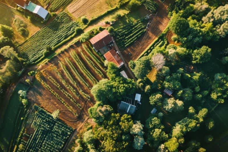 An overhead photo of a large farm showing luscious greenery