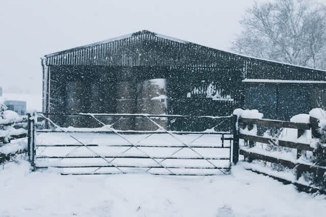 a barn full of hay can be seen through a snowy day on a farm