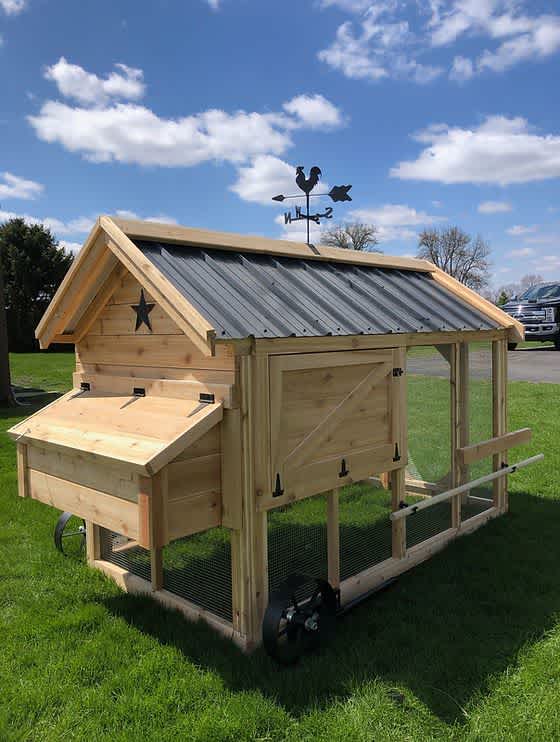 A chicken tractor with white pine wood outdoors
