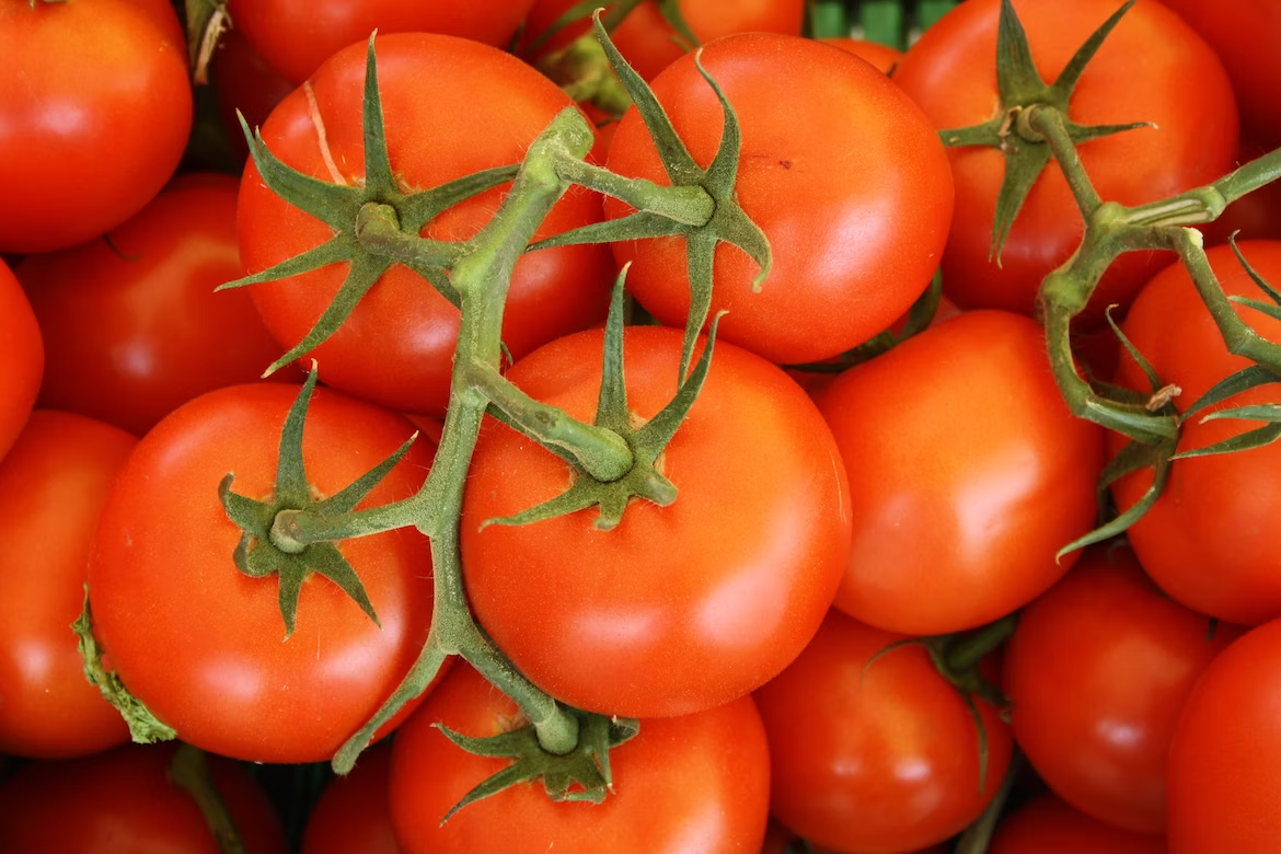An overhead shot of several tomatoes still attached to their stems