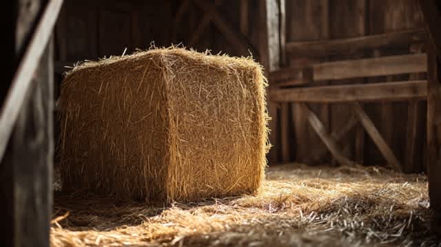 a small rectangular hay bale inside a barn