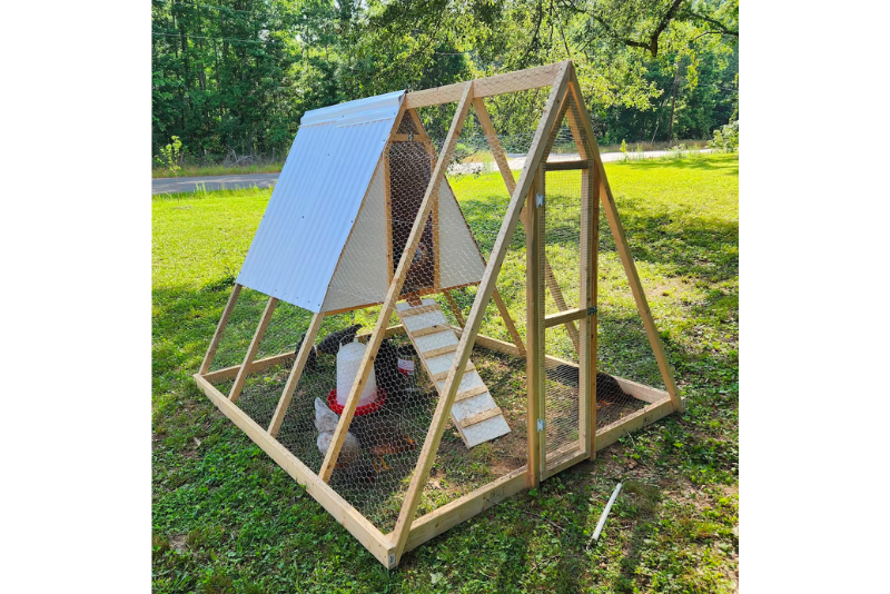 An "A Frame" designed chicken tractor