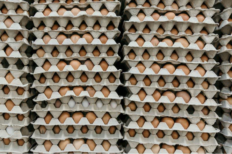 stacks of eggs in cardboard trays