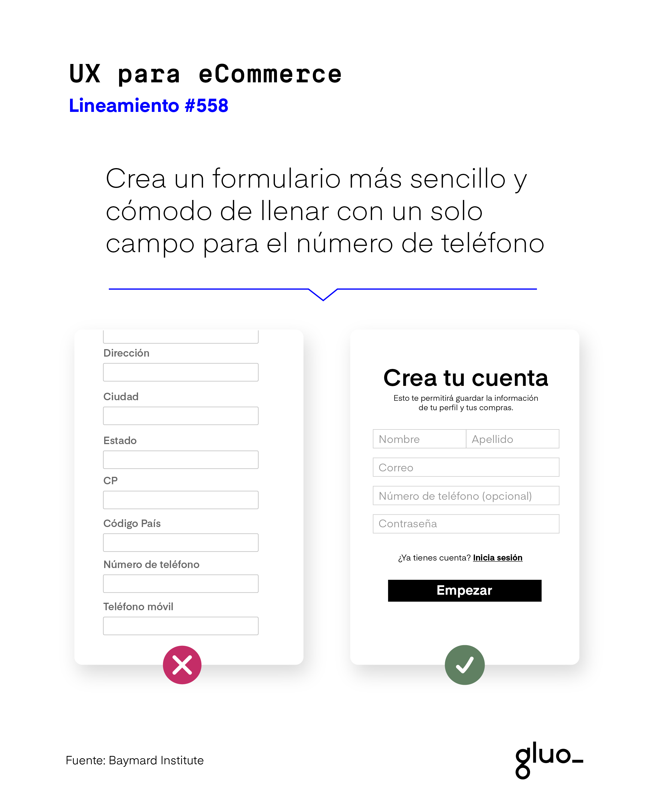 lineamiento 558