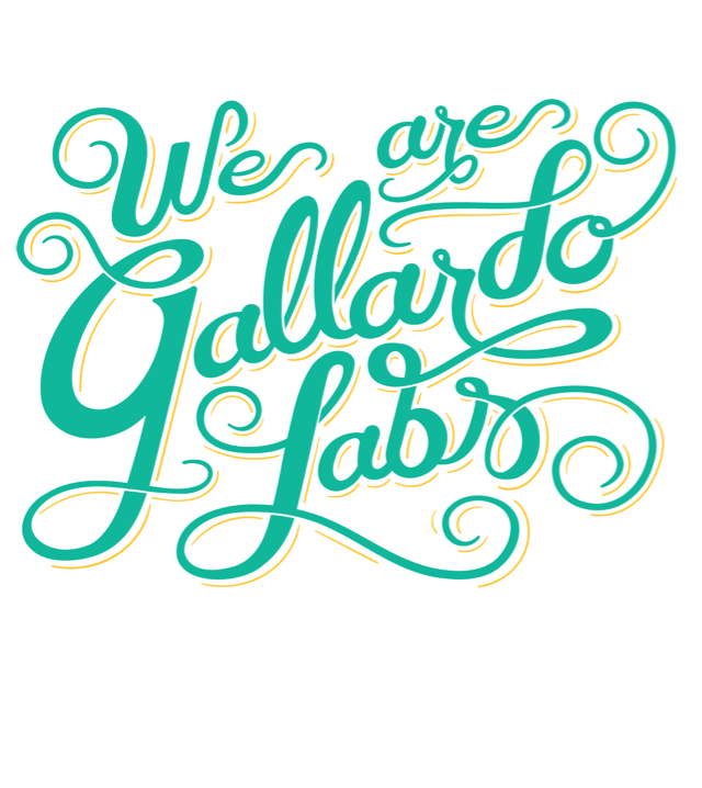 We are Gallardo Labs typography