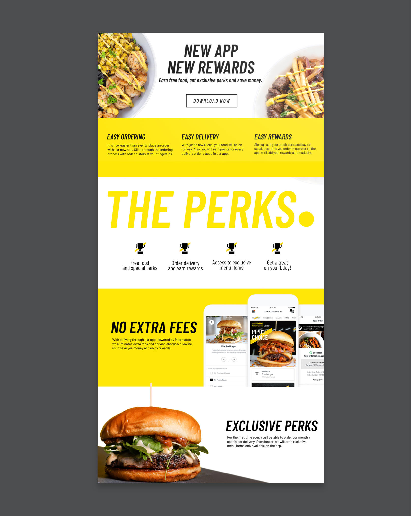 App rewards design with food image in hero and THE PERKS font across the middle.