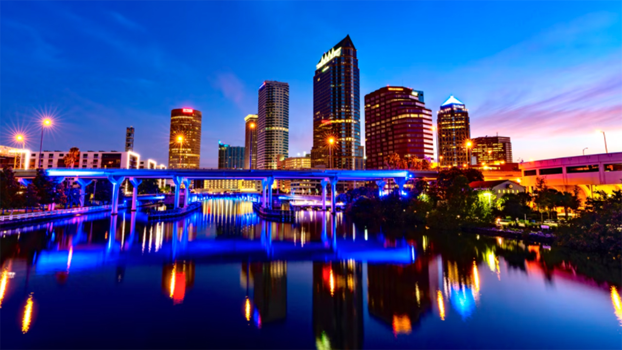Lawn Care Services Near Tampa